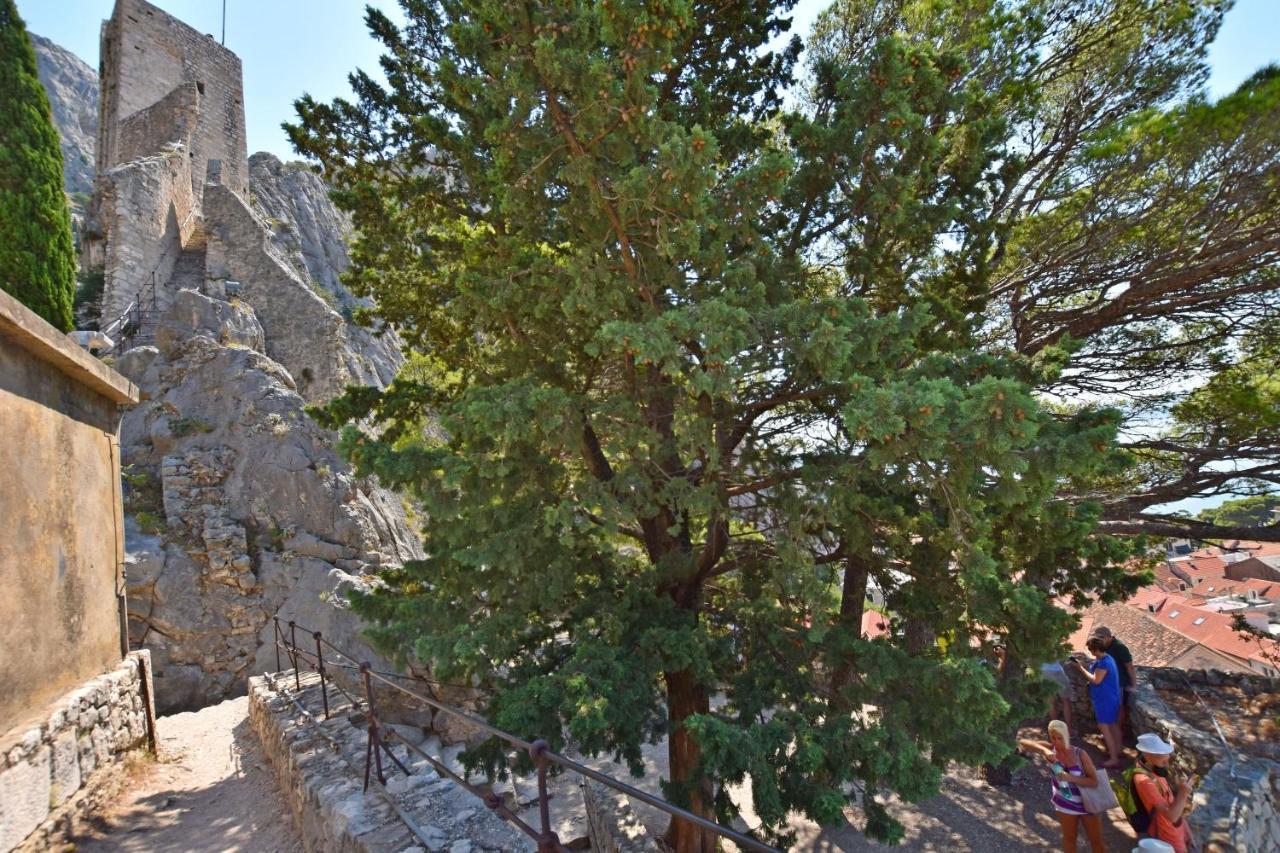 Apartment Mate Omis Bagian luar foto